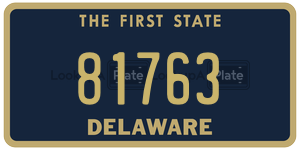 81763  license plate in DE