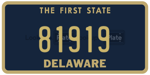 81919 license plate in Delaware