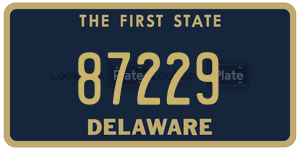 87229 license plate in Delaware