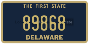 89868  license plate in DE