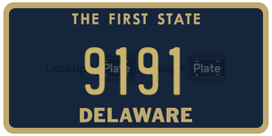 9191  license plate in DE