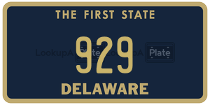 929  license plate in DE