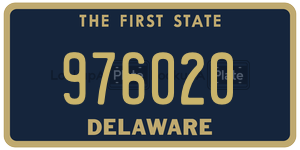 976020 license plate in Delaware