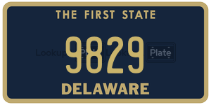 9829  license plate in DE