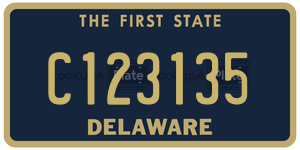 C123135  license plate in DE