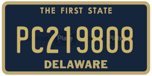 PC219808 license plate in Delaware