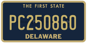 PC250860 license plate in Delaware
