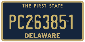 PC263851 license plate in Delaware