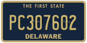 PC307602 license plate in Delaware
