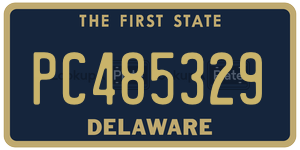 PC485329  license plate in DE