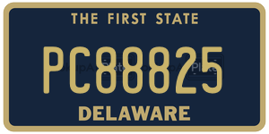 PC88825  license plate in DE