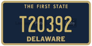 T20392  license plate in DE