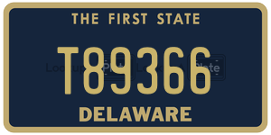 T89366  license plate in DE