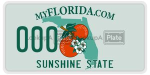 000 license plate in Florida