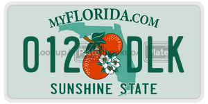 012DLK  license plate in FL