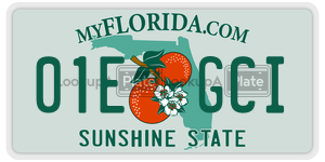 01EGCI license plate in Florida