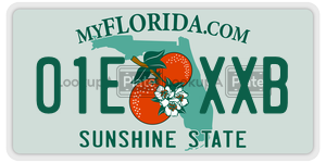 01EXXB license plate in Florida