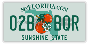 02BBQR license plate in Florida