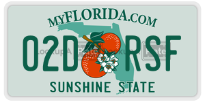 02DRSF  license plate in FL