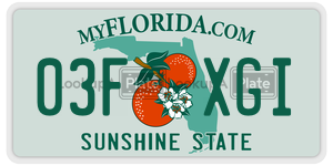 03FXGI  license plate in FL