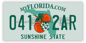 0412AR license plate in Florida
