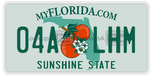 04ALHM  license plate in FL