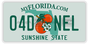 04DNEL  license plate in FL