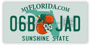 06BJAD  license plate in FL
