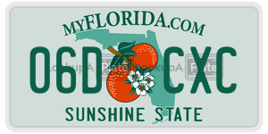 06DCXC  license plate in FL