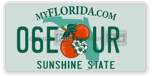06EUR  license plate in FL
