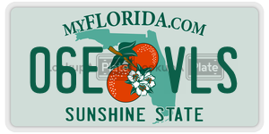 06EVLS license plate in Florida