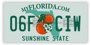 06FCIW  license plate in FL