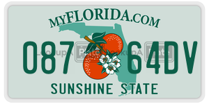 08764DV  license plate in FL