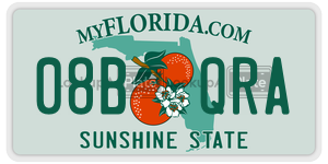 08BQRA  license plate in FL