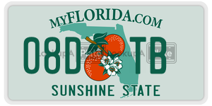 08DTB  license plate in FL