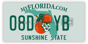 08DYB  license plate in FL