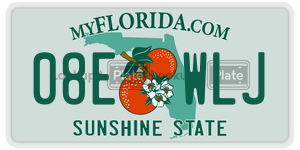 08EWLJ  license plate in FL