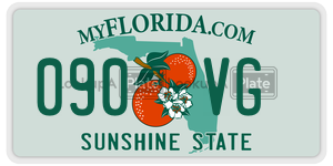090VG  license plate in FL