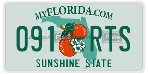 091RTS  license plate in FL