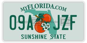 09AJZF license plate in Florida