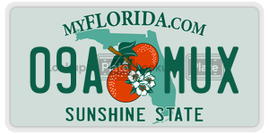 09AMUX  license plate in FL
