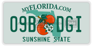 09BDGI license plate in Florida