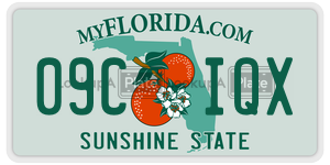 09CIQX license plate in Florida
