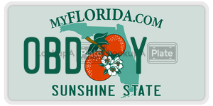 0BDY  license plate in FL