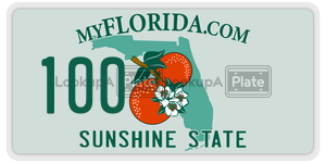100 license plate in Florida