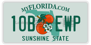 10BEWP license plate in Florida