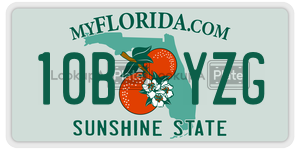 10BYZG license plate in Florida