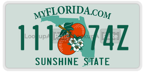 11174Z  license plate in FL