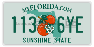 1136YE license plate in Florida
