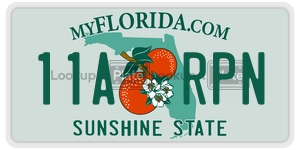 11ARPN  license plate in FL